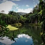 Inhotim - Brumadinho